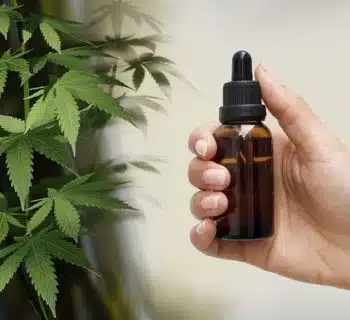 Découvrir le CBD et ses bienfaits pour la santé