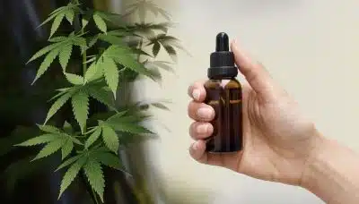 Découvrir le CBD et ses bienfaits pour la santé