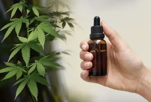Découvrir le CBD et ses bienfaits pour la santé
