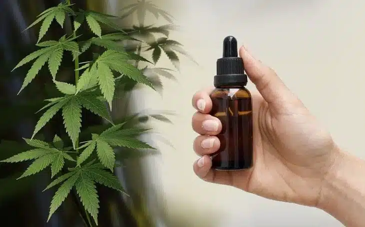 Découvrir le CBD et ses bienfaits pour la santé