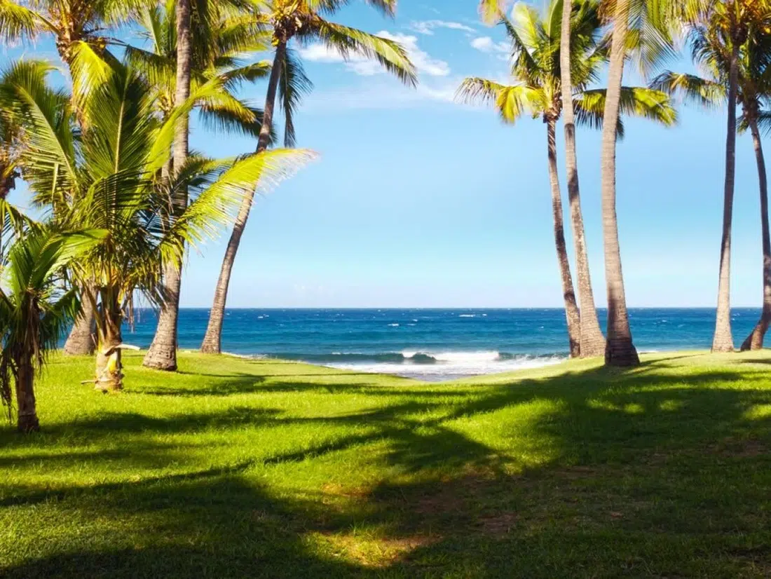 la Réunion