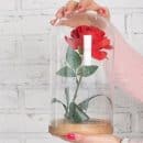 Pourquoi offrir une rose éternelle sous cloche