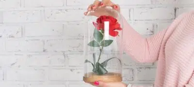 Pourquoi offrir une rose éternelle sous cloche