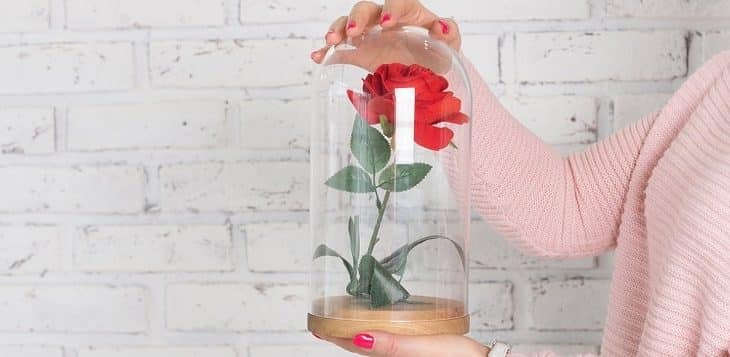 Pourquoi offrir une rose éternelle sous cloche