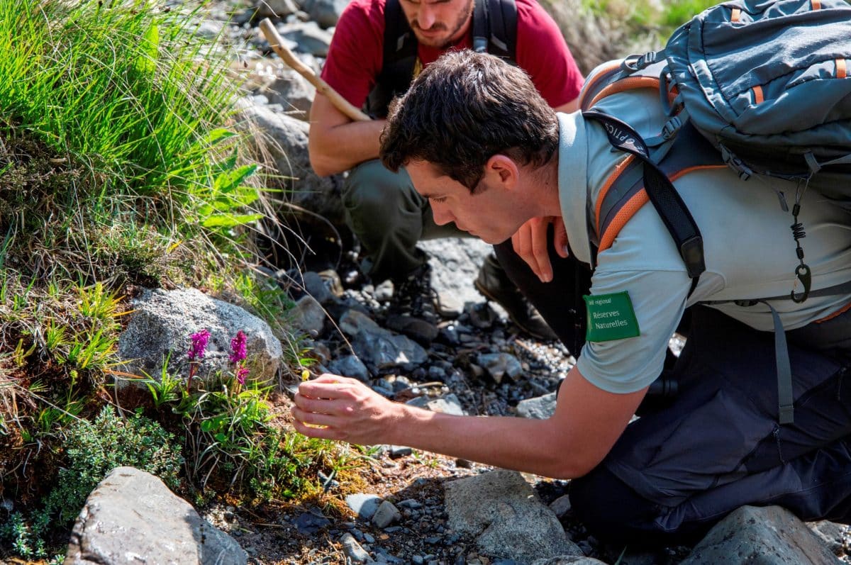 Tout savoir sur les nouveaux métiers de la transition écologique 