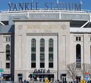Amazing New Yankees