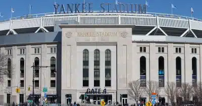 Amazing New Yankees