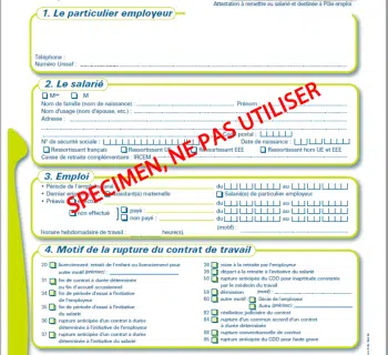 Attestation pôle emploi