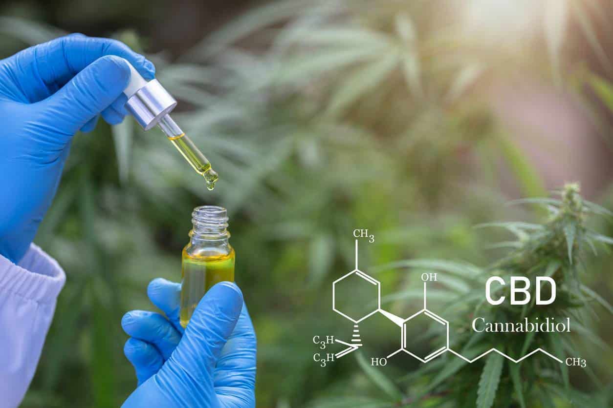 législation sur le CBD
