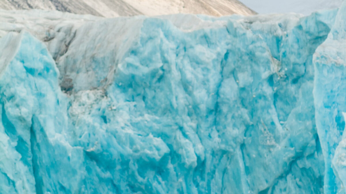 Comment organiser une croisière en famille en Antarctique ?