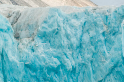 Comment organiser une croisière en famille en Antarctique ?