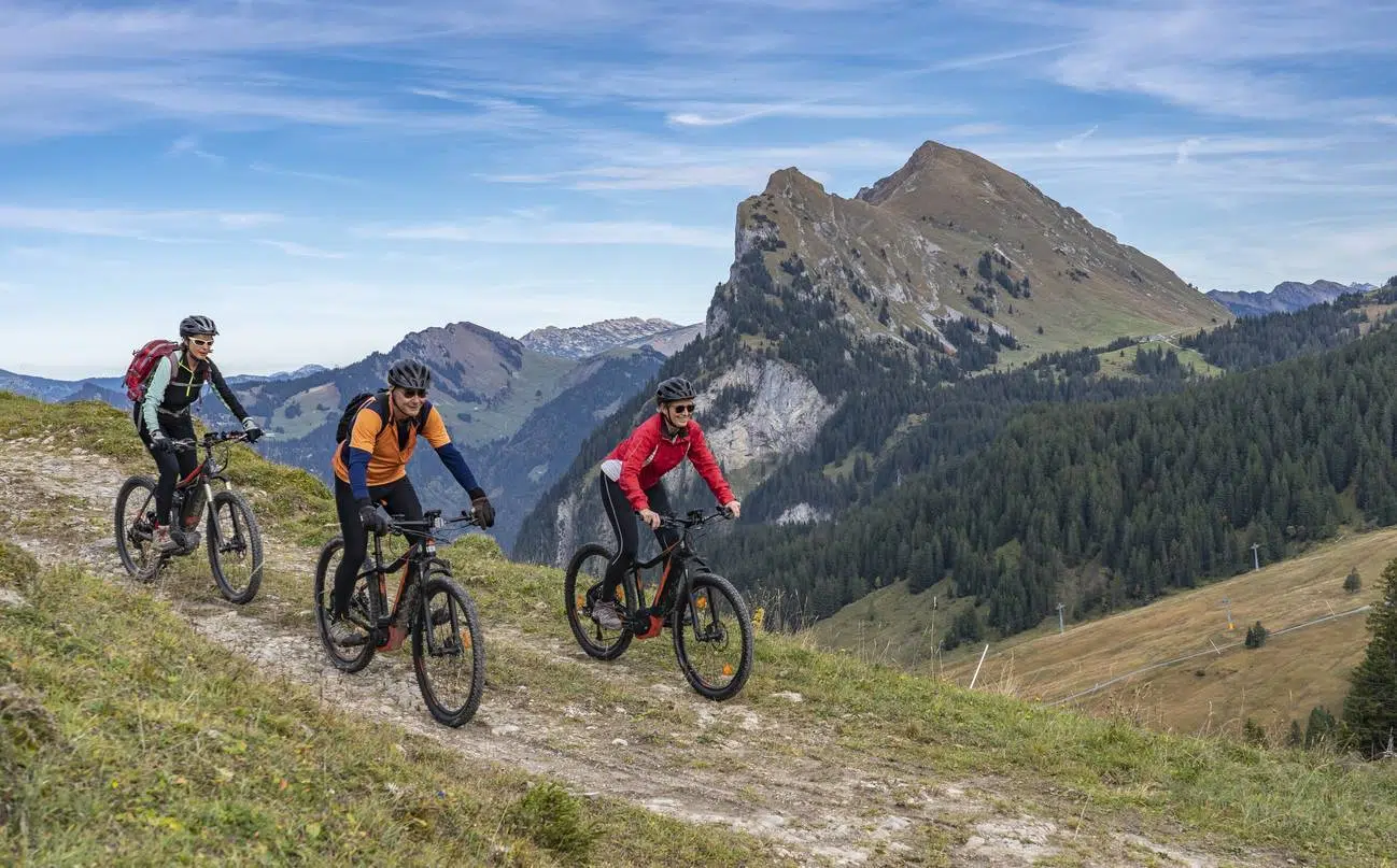 quel type de VTT choisir