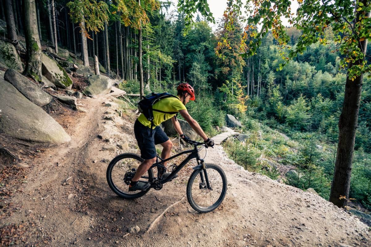 Puff A Partir De Quel Age Comment faire la différence entre les types de VTT ? - Facefull News
