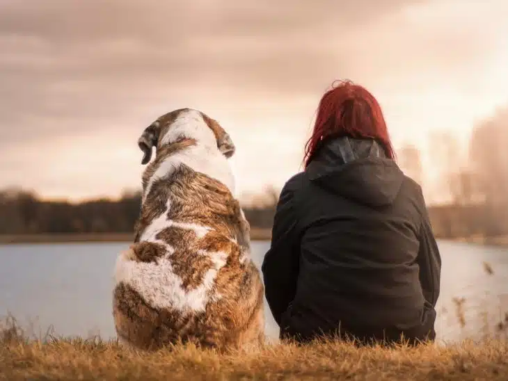 Les avantages de la consultation quotidienne d'un blog dédié aux animaux...