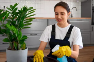 Ménage, repassage, garde d'enfants : pourquoi le recours aux services à domicile professionnels ne cesse de progresser ?