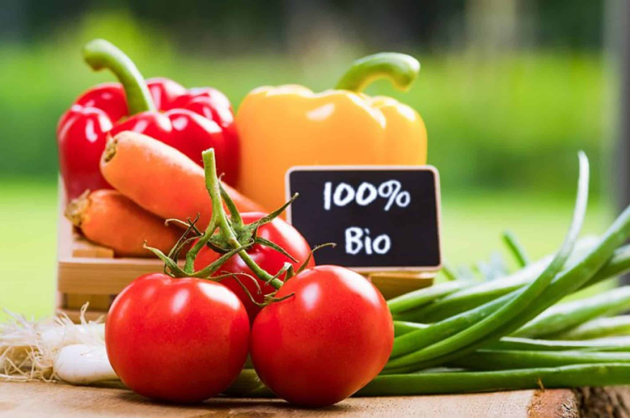 Les produits biologique à connaitre pour le jardin, potager et fleurs