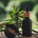 Quelques conseils pour consommer les fleurs de CBD