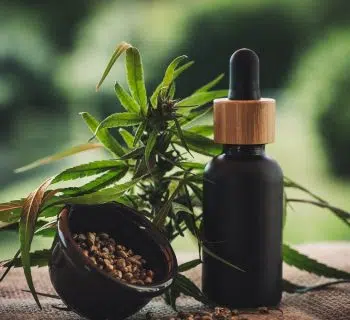 Quelques conseils pour consommer les fleurs de CBD