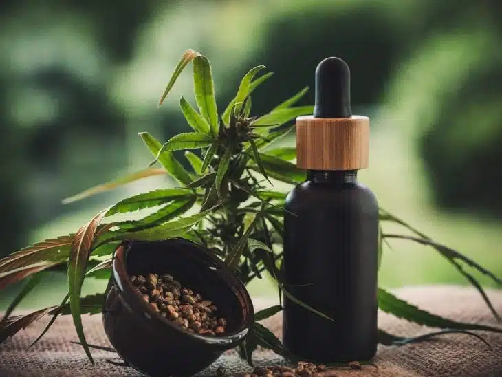 Quelques conseils pour consommer les fleurs de CBD