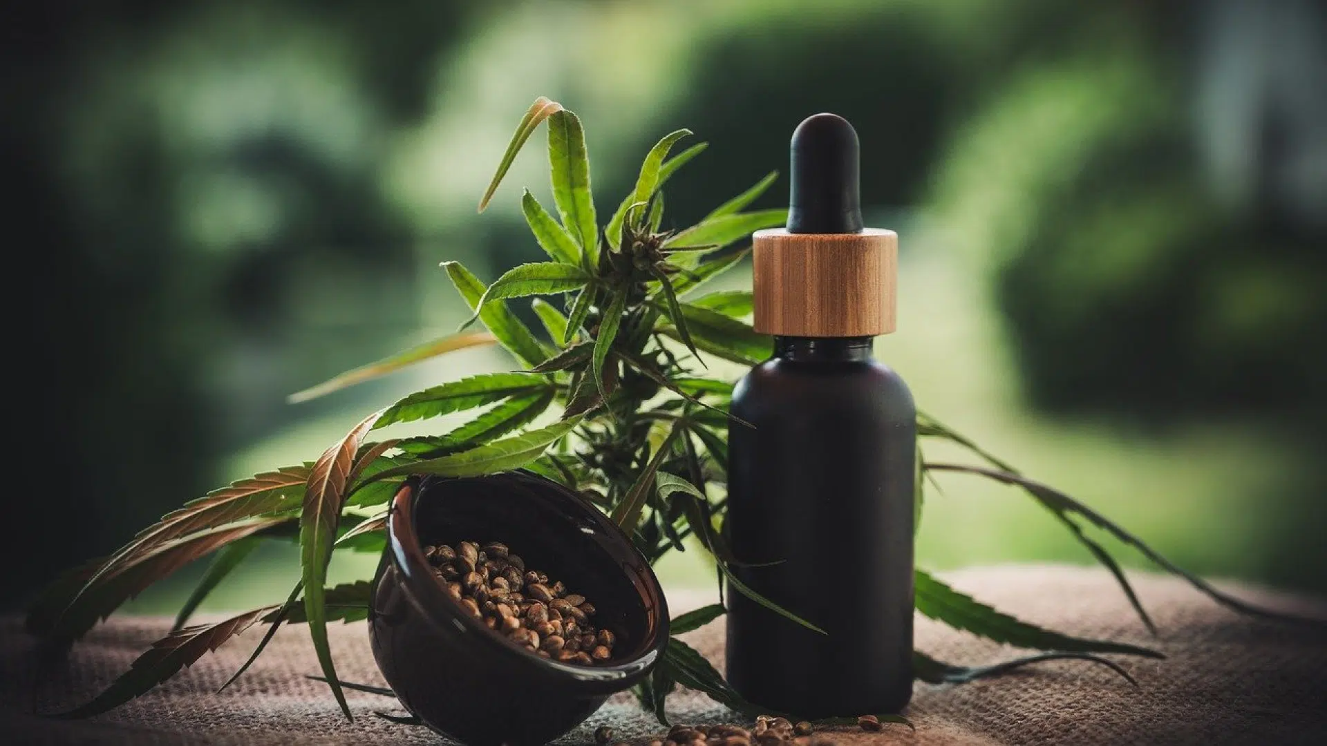 Quelques conseils pour consommer les fleurs de CBD