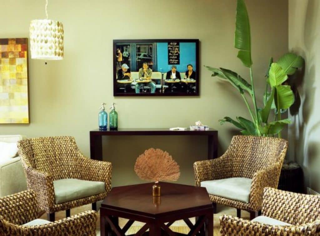 Quelle différence entre rotin et osier ?