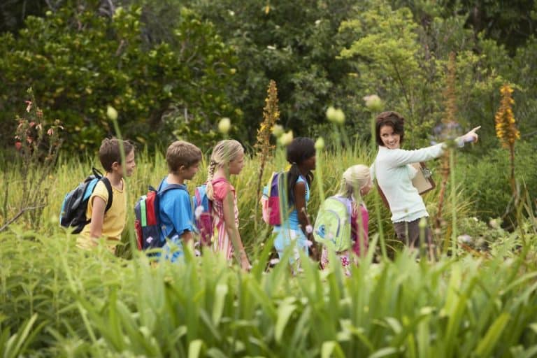 Sortie Scolaire Comment Trouver Le Budget Facefull News