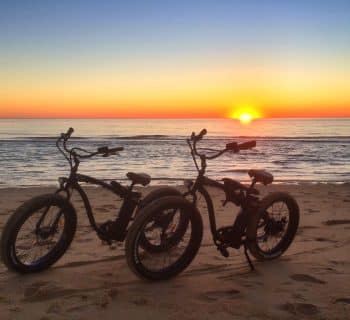 velo gorille fat bike