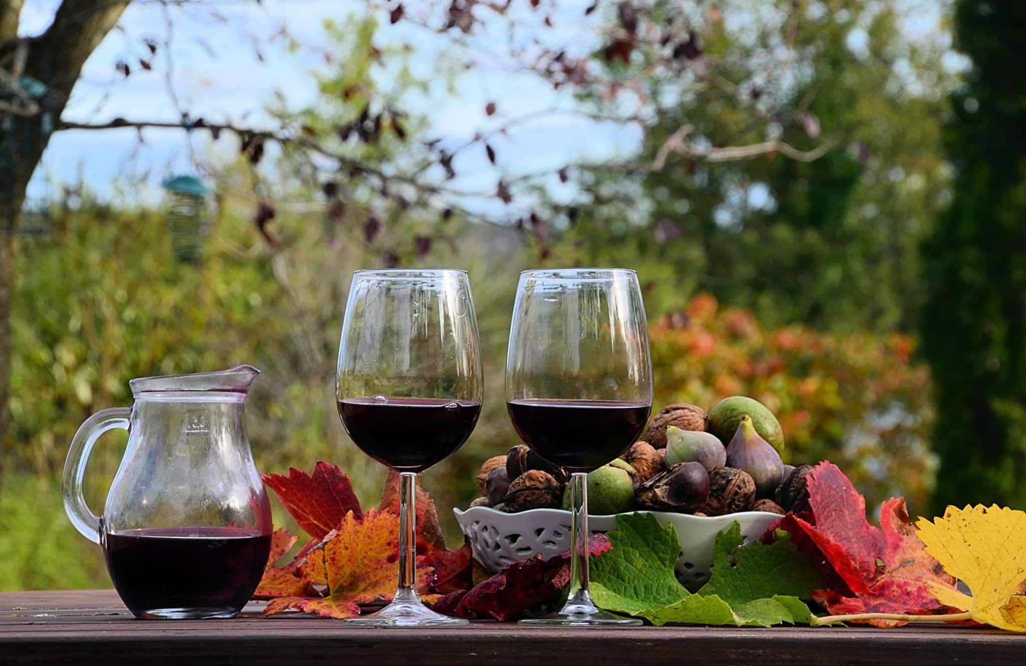 Les vins en primeurs comment faire le bon choix
