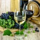 vin sans soufre